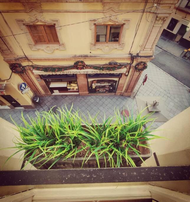 Estudio Centro De Sevilla Dış mekan fotoğraf